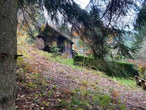 Chalets Le Paradis de Verdure : photos des chambres