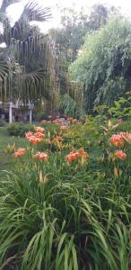 Armonía y Naturaleza B&B Hostería Exclusiva