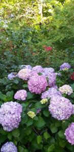 Armonía y Naturaleza B&B Hostería Exclusiva