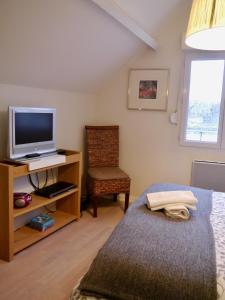 Maisons d'hotes Chambre et salon sur la Loire a velo : photos des chambres