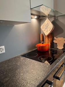 Cozy apartment during WEF Davos 2026