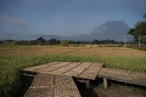 Art House at Chiangdao - StarHouse