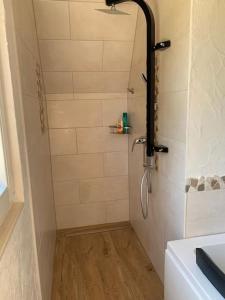 Über den Dächern von Koblenz - Aussichts-Wohnung Naturpark Rheinblick, ruhig, zentrumsnah, Sport-Pool