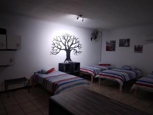 FlipFlops and TreeTops