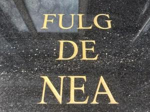 FULG De NEA