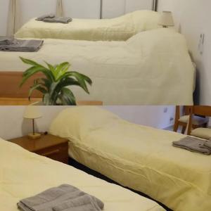 Aloha apart Pergamino