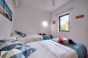 The Secret Corner of Luz