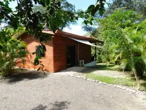 Villasjungle 2 - Primavera