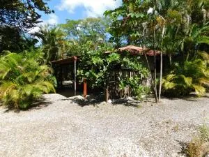 Villasjungle 3 - Primavera