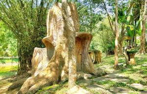 Treehouse Holidays-Family house