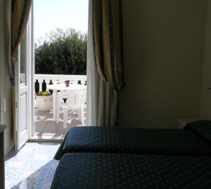 Hotel Alexander Palme