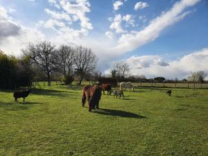 Hotels Les Granges de Jules : photos des chambres