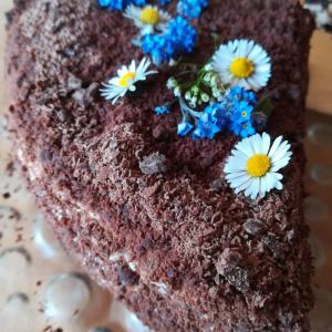 Gartenwohnung auf der Sommeralm