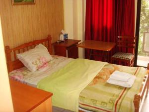 Standard Single Room room in Regis Hotel