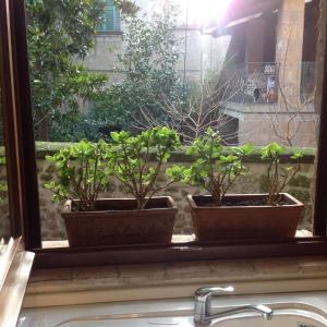 Appartement 1 Chambre