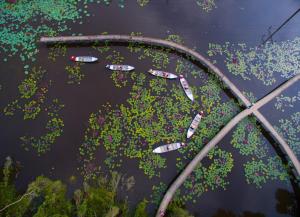 KDL Làng Nổi Tân Lập - Tan Lap Floating Village