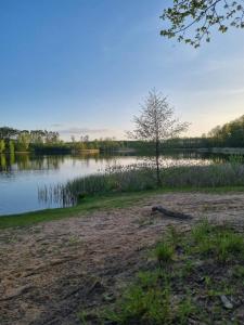 Zajazd Drogorad Restauracja i Noclegi