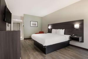 King Room - Accessible/Non-Smoking room in Quality Suites I-44
