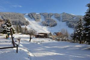 Appartements VILLARD DE LANS : photos des chambres