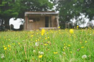 Chalets Priveparadijs,Houtvuur,Ongerepte natuur, Ardennen. : photos des chambres
