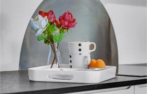 Amazing Apartment In Helsingør With 01 Bedrooms And Wifi