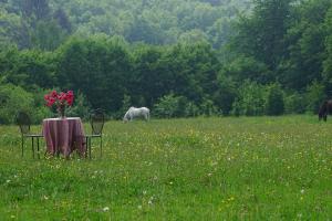 Chalets Priveparadijs,Houtvuur,Ongerepte natuur, Ardennen. : photos des chambres