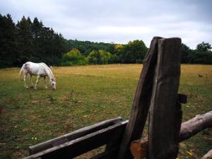 Chalets Priveparadijs,Houtvuur,Ongerepte natuur, Ardennen. : photos des chambres