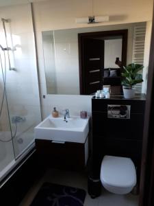 Studio przy Ogrodzie Saskim