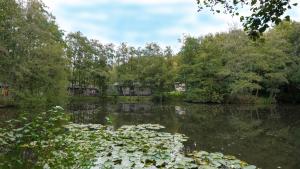Warren Wood Country Park
