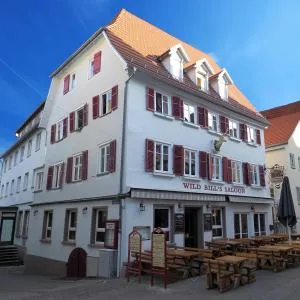 Hotel Goldener Hirsch Mosbach - Haßmersheim