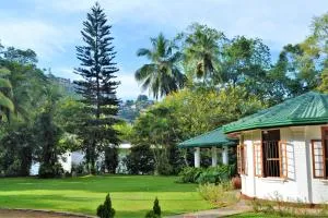 Sweet Cinnamon Kandy - Huduhumpola