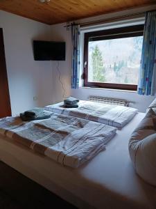Ferienwohnung im Nationalpark Gesäuse