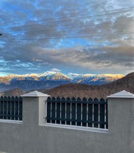 Prater House Mountain View