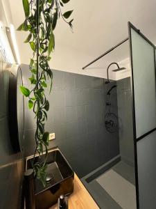 Prater House Mountain View