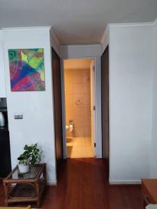 Departamento en centro de Viña del Mar