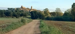 Loft with love in Pals