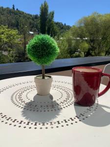 Departamento San Martin de los Andes Centrico y Moderno