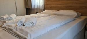 Apartament Rezydencja Park 1