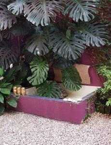 InspireBA - Garden