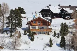 Ferienwohnung im Almhaus Seeblick am Falkert - Mayerling