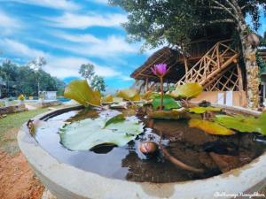 Tea Garden Eco Villas