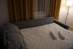 Apartamenty w pełni wyposażone w CENTRUM MIASTA