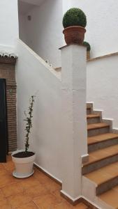 CASA MORENA MiA APARTAMENTOS