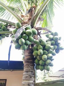 Casa début Surf Place