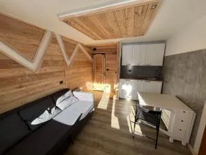 FRONT DE NEIGE MONTGENEVRE - 蒙热内夫尔