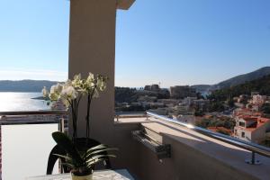 Mila & Aleksandr Apartments