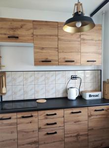 "W Zdroju" - apartament Cieplice, Aquapark, Jelenia Góra