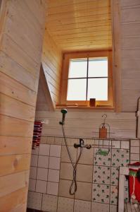 Studio in Novo mesto - dostava - Kranjska Krain 26035 