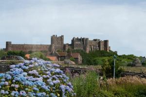 Castle View Bamburgh