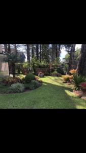 Apartamento aconchegate no centro de Gramado.